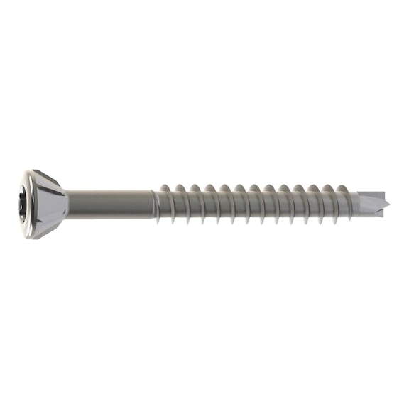 Bodenschraube ASSY<SUP>&reg;</SUP> Plus Spezial - 1