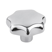 Molette &eacute;toil&eacute;e, acier inox A2, filet. fem., polie