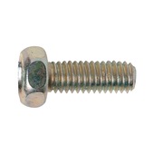 Screw indented hexagon head