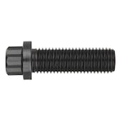 Schrauben Zw&ouml;lfkantkopf