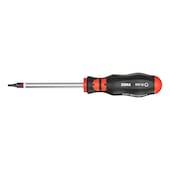 Screwdriver RW tip