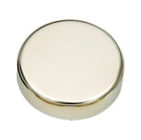 Capuchon décoratif, type A pour charnières de porte en verre Nexis ou Tiomos