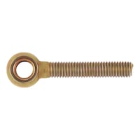 Ring bolt