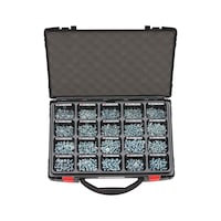 ORSY® screws with half round head, assortment of 200