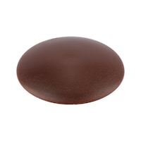 Flat cover cap, for hexalobular socket and AW drive