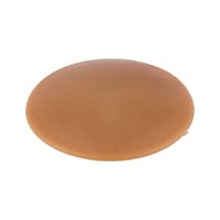 Flat cover cap, for hexalobular socket and AW drive