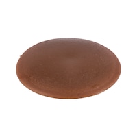 Flat cover cap, for hexalobular socket and AW drive