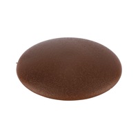 Flat cover cap, for hexalobular socket and AW drive