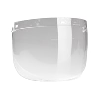 Spare visor