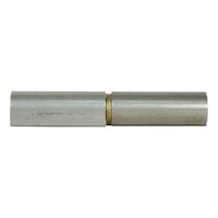 Weld-on hinge with brass ring