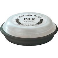 Particulate filter P3R 903201 Moldex