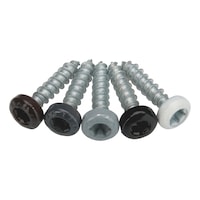 Painted Assy 3.0 particle board screw