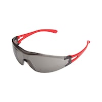 Safety goggles CEPHEUS®