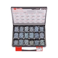 ORSY®pan head/countersunk head screws, assortment of 100