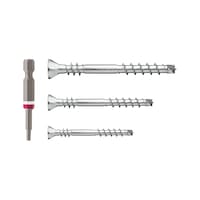 ASSYplus 4 wood facade screw A2 set 1205 pcs