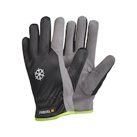 Protective glove winter Ejendals Tegera 322