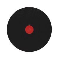 Support Plate for non-woven discs
