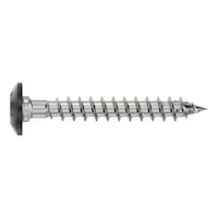 ASSY 4 A4 TRH gate hinge screw painted A4 stainless steel full thread large truss head