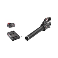 ALB 18 COMPACT cordless leaf blower Set of 4 pcs