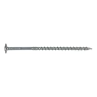 WÜTOX II steel zinc plated PT washer head TX