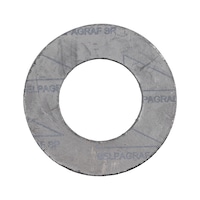 Flanged seal A4 grafite SR