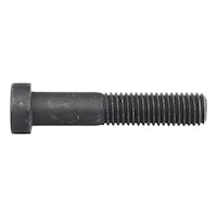 DIN 7984 steel 010.9 zinc flake black