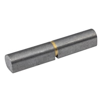 WELD-ON PROFILE HINGE W. BRASS TENSION RING