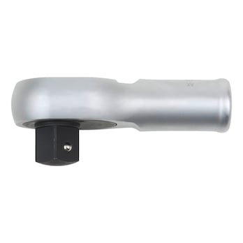 Κεφαλή καστάνιας 1