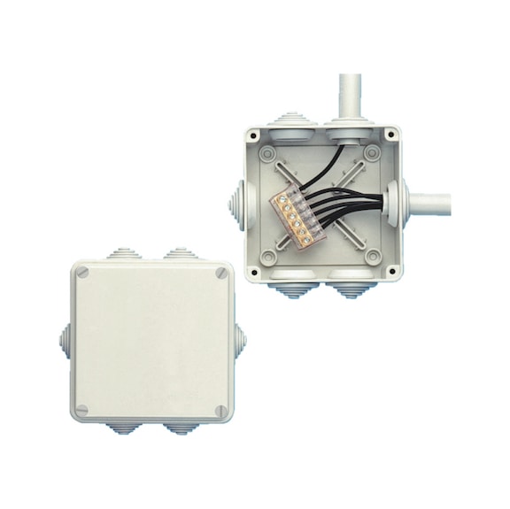 Scatola con coperchio con viti in plastica da 1/4 di giro - 1