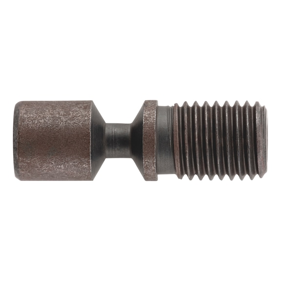 Screw for ISO P clamping system - AY-SCREW-ISO-P-CLMPSYS-VHX0825