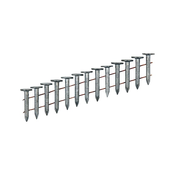 Hot-dip galvanised roofing nail collated, with ring shank