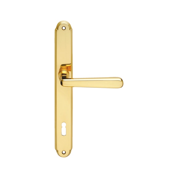 Long plate fitting  Alt Wien