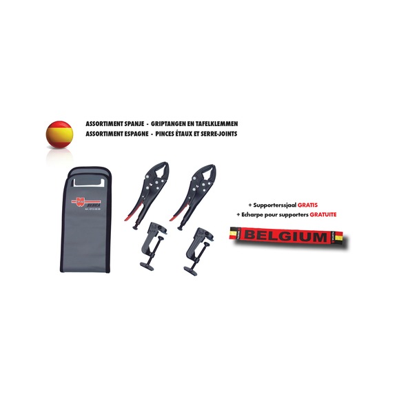 Gereedschapsassortiment, metaal, andere - ASSORTIMENT AUTOLAMPEN (AUTO)