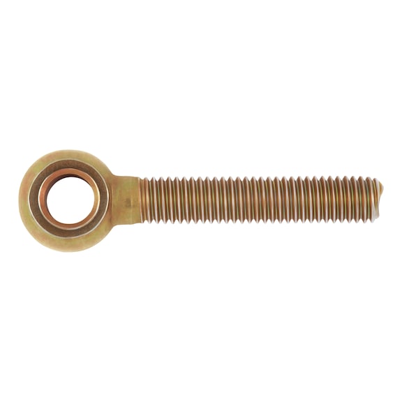 Ring bolt - BLT-EYE-DIN444-4.6-B-(A3C)-M16X110