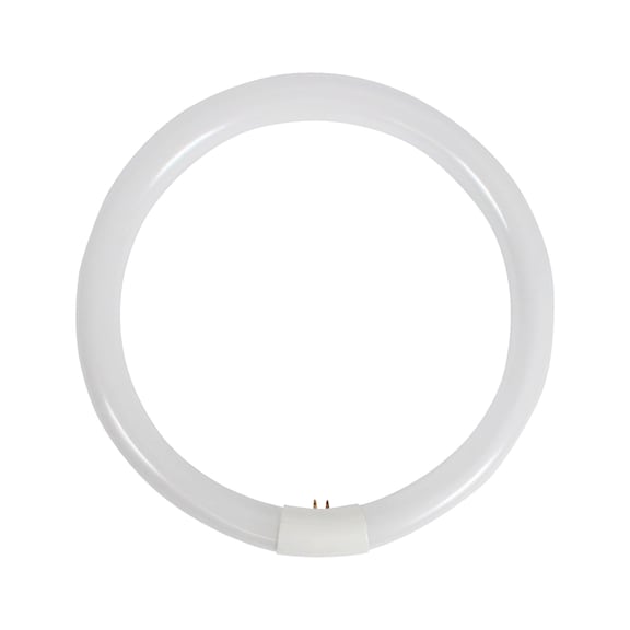Tube annulaire - RGTUB-(F.WRKLGHT-0981250)-32W