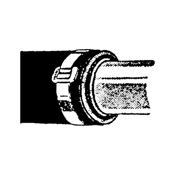 254907_6