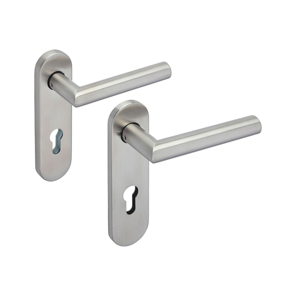 Stainless steel security door fitting S 25 - SDF-A2-S25/FS-ES1-HH-CK-72-14-MATT