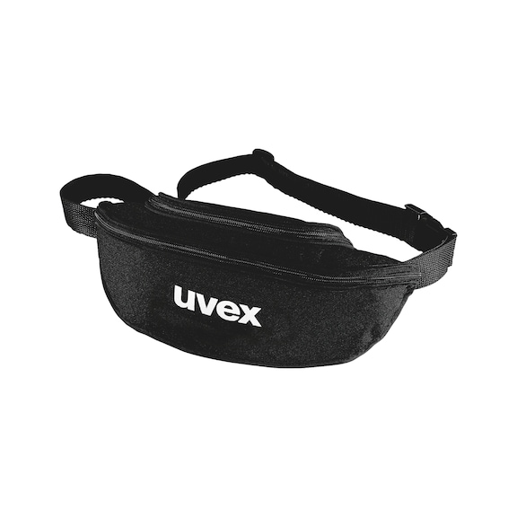 Goggles case uvex 9954