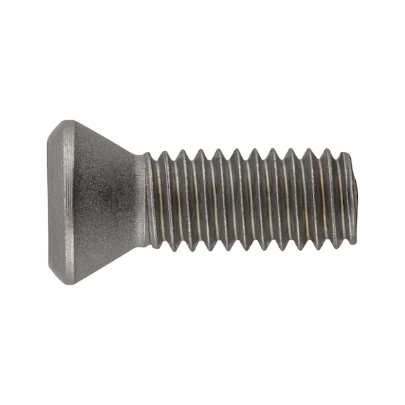 Screw for ISO S clamping system - AY-SCREW-ISO-S-CLMPSYS-FTKA03510