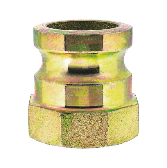 Laastiletkuliitin VIG - uros, SK Lüdecke