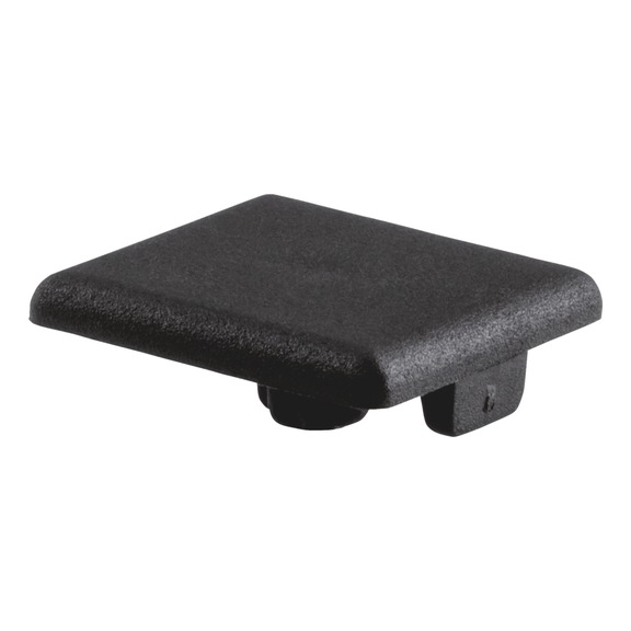 Cover cap for profile rail - CAP-B-PA-BLCK-PRFLRL-20X20MM