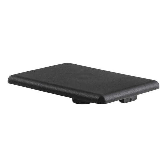 Cover cap for profile rail - CAP-B-PA-BLCK-PRFLRL-45X60MM