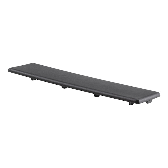 Abdeckkappe f&uuml;r Profilschienen - ABDEKA-I-PA-SCHW-PRFLSHN-40X160MM