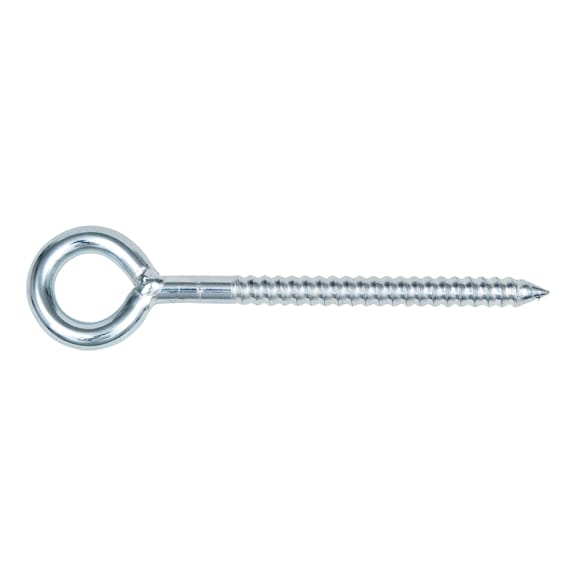 Scaffolding eyelet screw W-GS SymCon<SUP>®</SUP> - BLT-EYE-FRAME-(A0K)-6.8-10X190