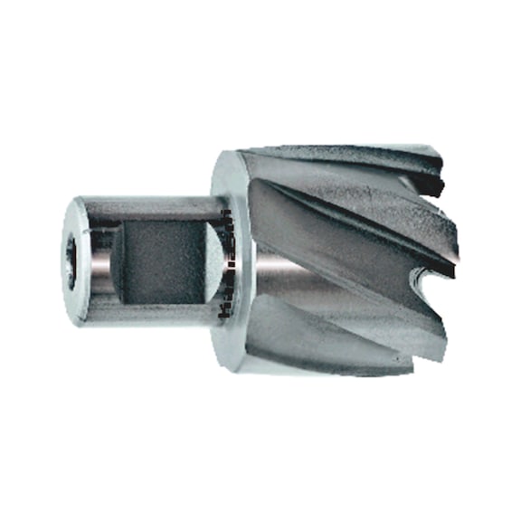 Reikäjyrsin Mini-Line HSS-XE