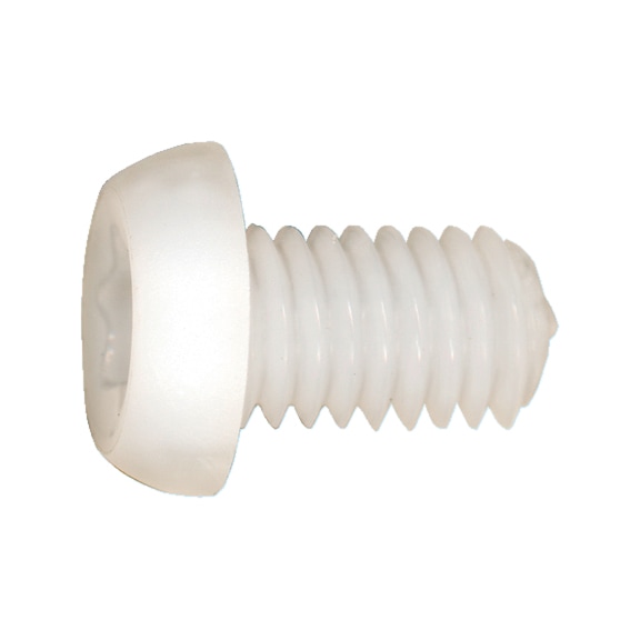 Rekisteriruuvi PA, 6.6 lieriökanta TX