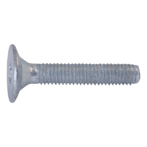 DIN 7500-1 steel zinc ptd. counters. head TX large