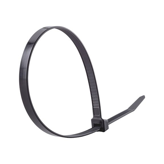 BENLIUDH Kabelbinder Mit Schraubenloch – 200 Stück (schwarz/weiß), 30,5 Cm, Selbstsichernd, UV-beständig Für Innen & Außen, Perfekt Zum Kabelmanagement