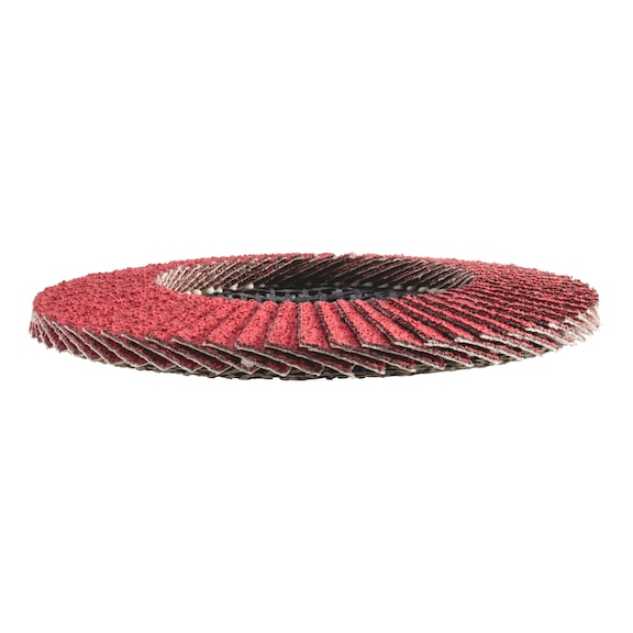SBS Fächerscheiben 115mm, Körnung 60, Blau – 10 Stück, Für Edelstahl & Metall, Grober Schliff Zirkonkorund Fächerscheibe