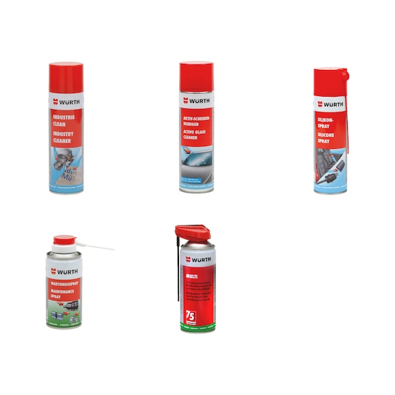 Temizlik maddesi bakım ürünü seti, 16 parça - CLNR-CARE-SET-10PCS